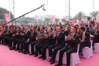 12月31日盛大开业