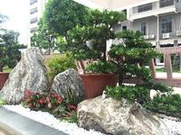 乾隆苑二期园林实景