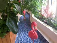 美兰国际城新营销中心实景