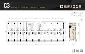 G公寓C3户型（1）