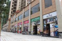 银丰香槟郡临街实景现铺盛大面市