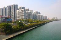 项目实景图