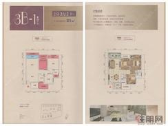 【9#/11#楼3B-1户型】2室2厅2卫1厨1阳台