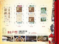 【B1户型】3室2厅2卫