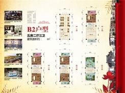 【B2户型】5室2厅3卫