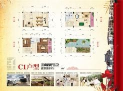 【C1户型】3室4厅3卫