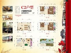 【C2户型】6室4厅5卫