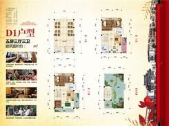 【D1户型】5室3厅3卫