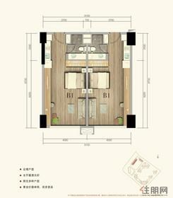【公寓B1户型】
