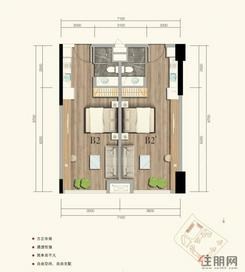 【公寓B2户型】