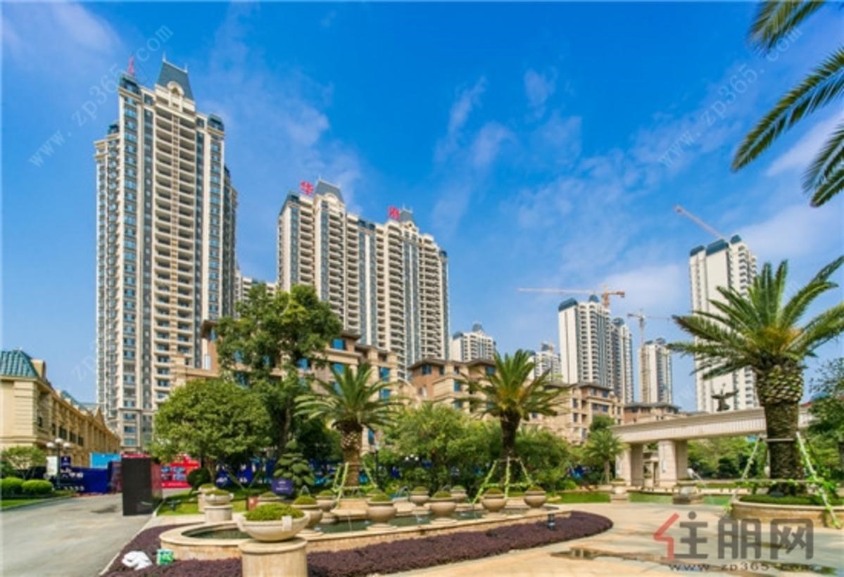 实景图