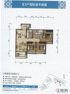 【E1户型】3室2厅2卫1厨1阳台