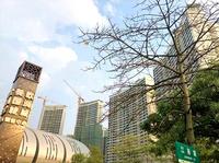 美国城实景