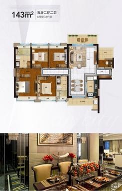 【6#03户型】5室2厅2卫1厨2阳台