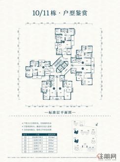 【10/11栋户型】2阳台