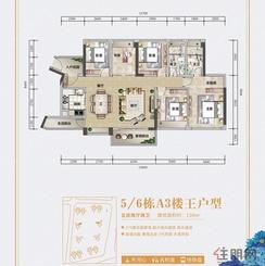 【5/6栋A3楼王户型】5室2厅2卫1厨2阳台