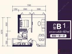 【B1户型】1室1厅1卫1厨