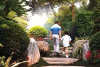 园林美图_效果图