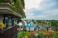 产品美图_效果图