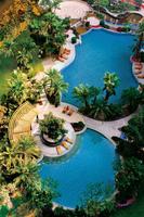 泳池美图_效果图