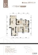 E户型 116户型图