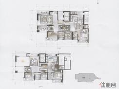 【02单位户型图】5室2厅5卫1厨