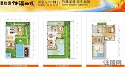 【双拼Z7户型】