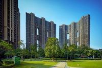 实景图