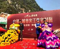 2018年3月10日灵山县步行街碧桂园“生活体验馆”展厅开放仪式