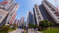实景图