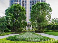 实地·常春藤 实景图 