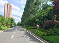 佳兆业城市广场 实景图