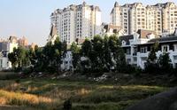 实景图