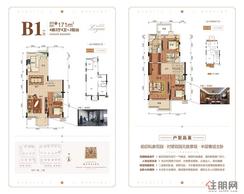 【九號院 B1户型】4室2厅4卫1厨2阳台
