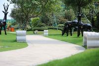 柳江碧桂园·公园上城 实景图