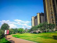 柳江碧桂园·公园上城 实景图