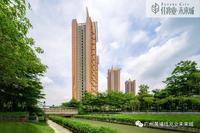 园林实景图1