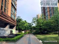 园林实景图2