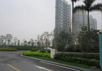 楼盘实景图