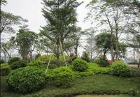 楼盘实景图