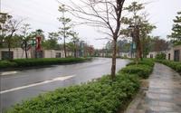 楼盘实景图