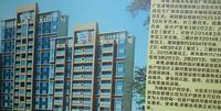 效果图