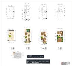 【桃源墅 D-2户型】