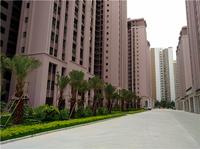 东峰国际公寓实景图