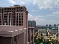 东峰国际公寓实景图