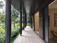 小区内园林实景