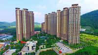 实景图