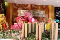 首期开盘暨营销中心盛大开放