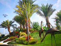 浦北·碧桂园 实景图