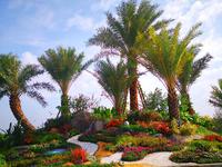 浦北·碧桂园 实景图